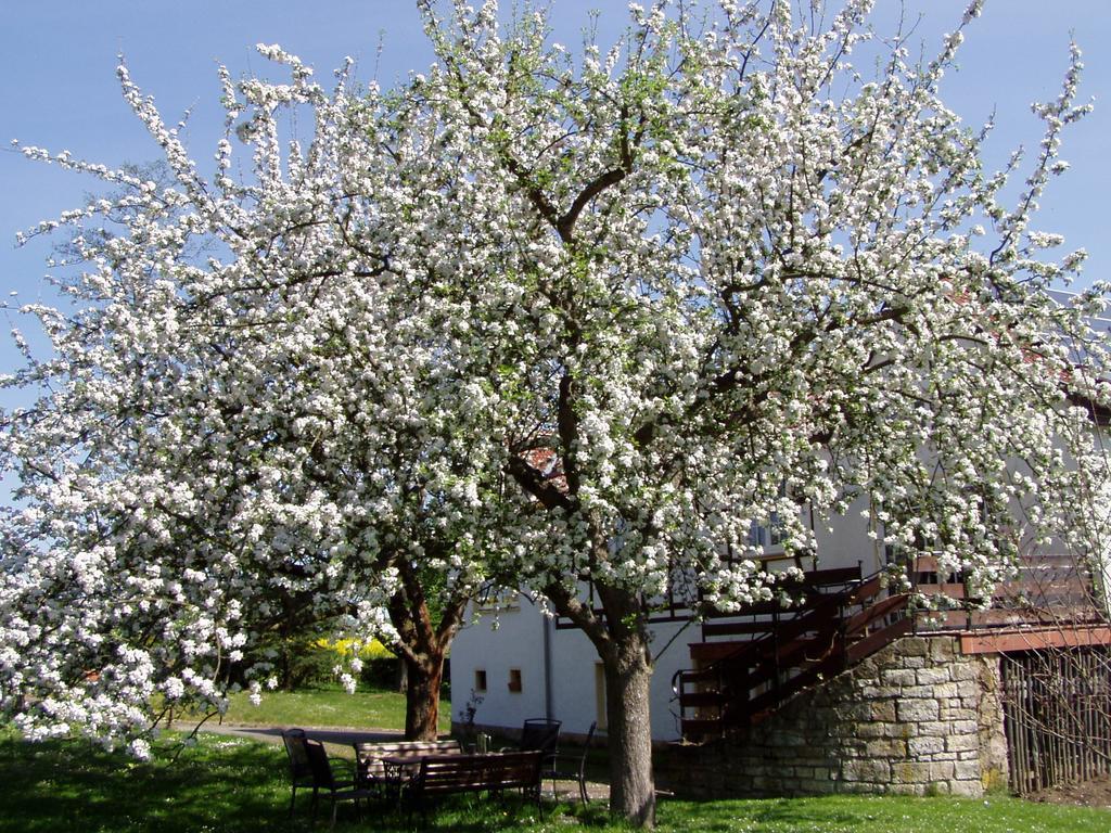 Ferienwohnung Obermuehle Ballstadt Номер фото